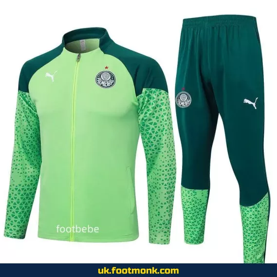 Palmeiras 2024 2025 green home kit.