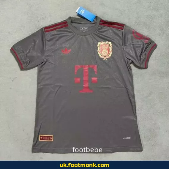 Bayern Munich 2025 125th anniversary gray jersey.