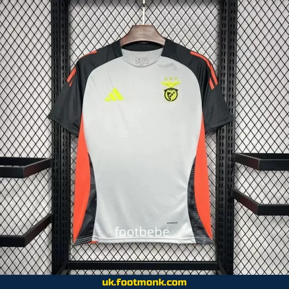 Benfica 2024 2025 training jersey gray.
