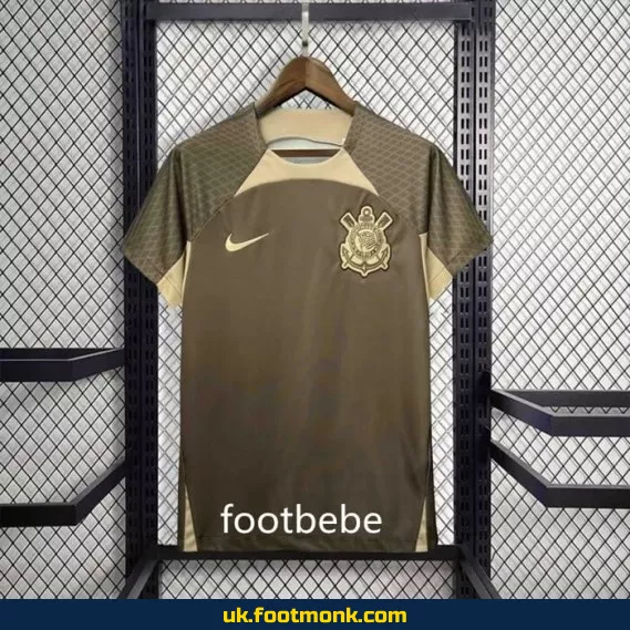 Corinthians 2024-2025 brown training jersey.