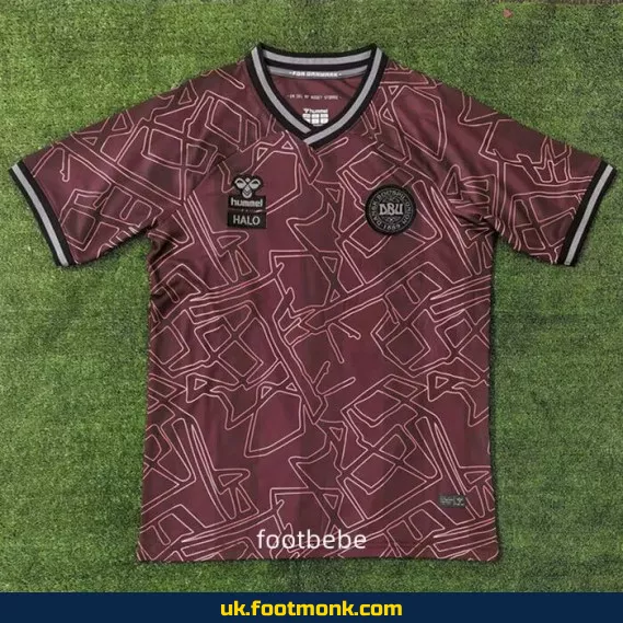 Denmark jersey 2024 2025 special edition.