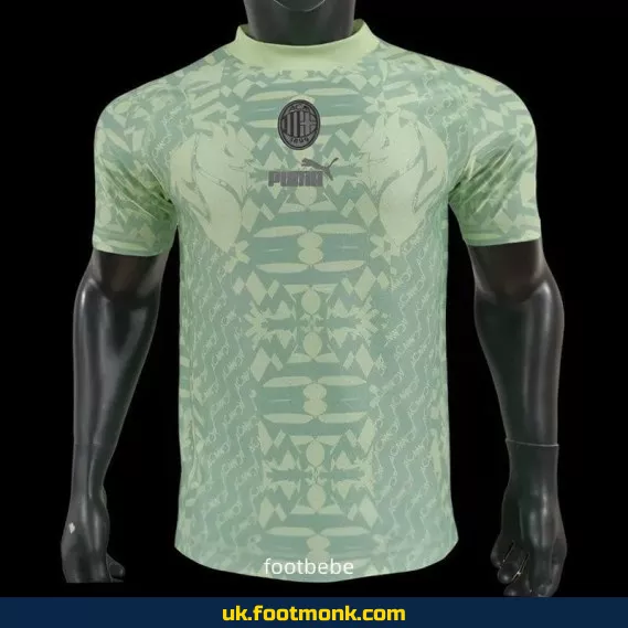 AC Milan 2024 2025 green match jersey.