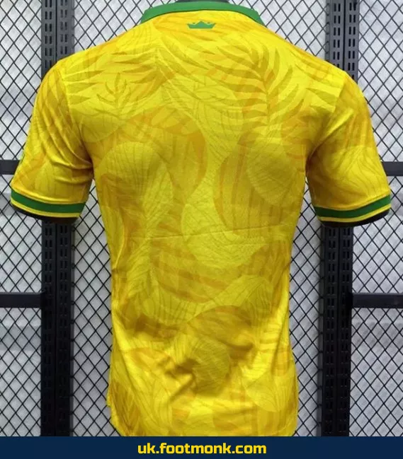 Match jersey Brazil The Prince 2024 2025 yellow.