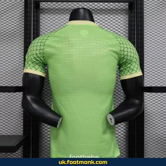 Japan 2024 2025 Match Jersey Dragon Ball green.