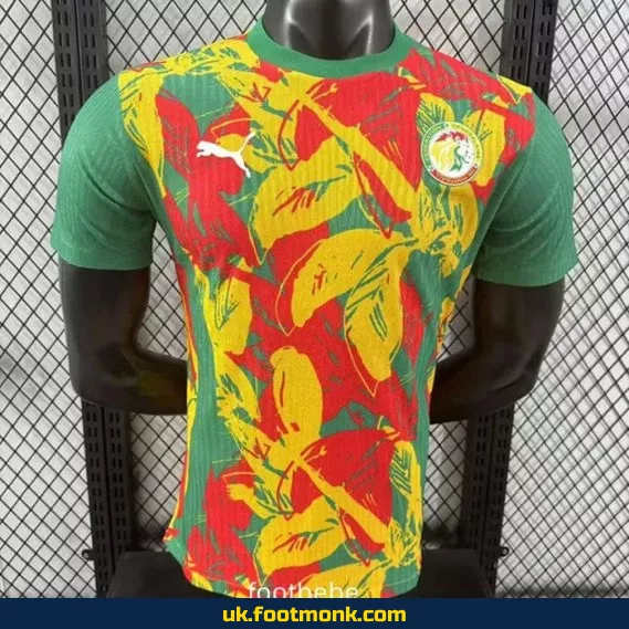 Match jersey Senegal 2024 2025 green special edition.