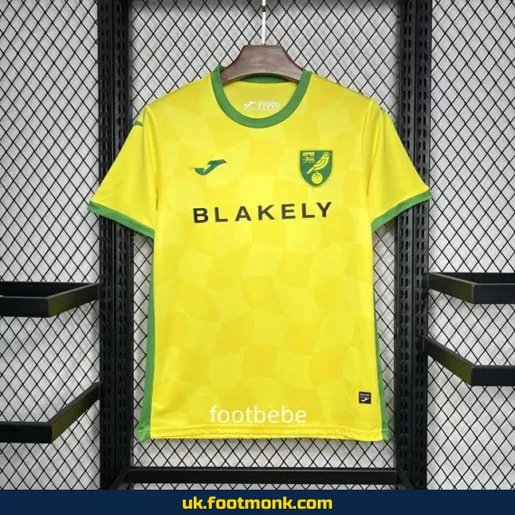 Norwich City 2024-2025 home yellow jersey.