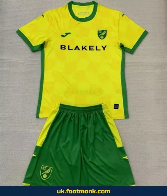 Norwich City 2024 2025 home yellow kids' jersey.