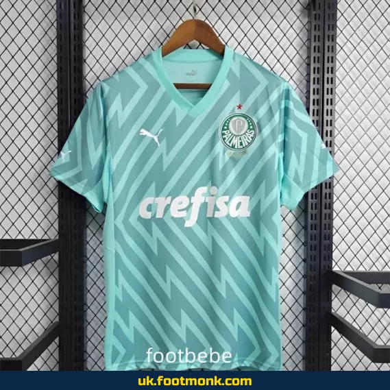 Palmeiras goalkeeper jersey 2024-2025 green.