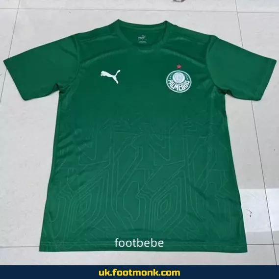 Palmeiras 2025-2026 green concept jersey.