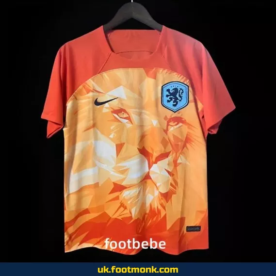 Netherlands jersey 2024 special orange edition.