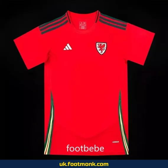 Wales 2024 home red jersey.